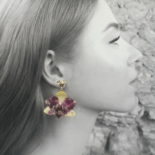 Pendientes Áurea