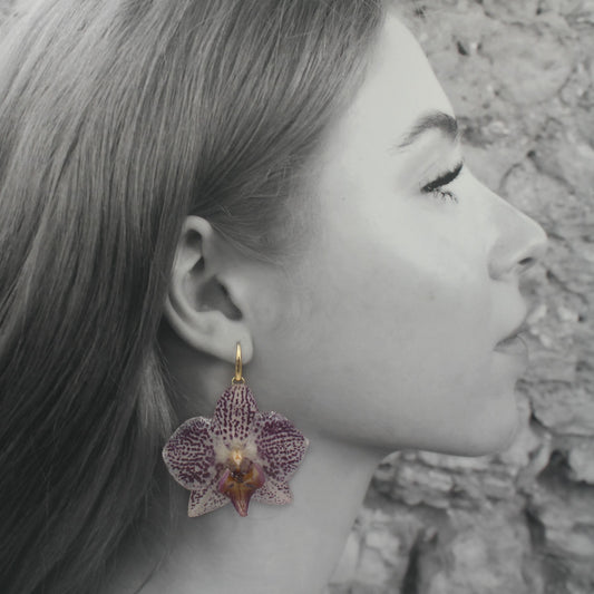 Pendientes Liria