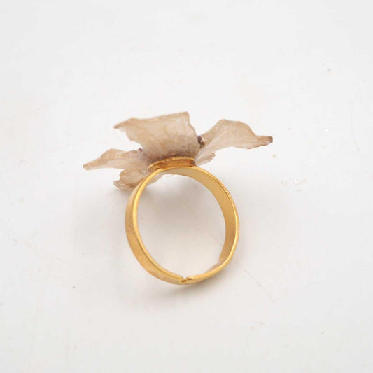 Anillo Clara