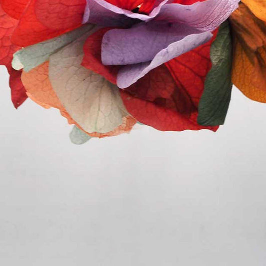 Las flores preservadas
