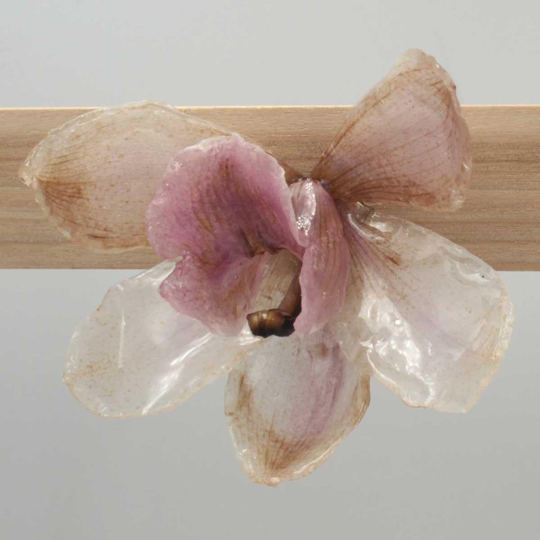Cómo elegir pendientes de flores preservadas: guía para acertar siempre