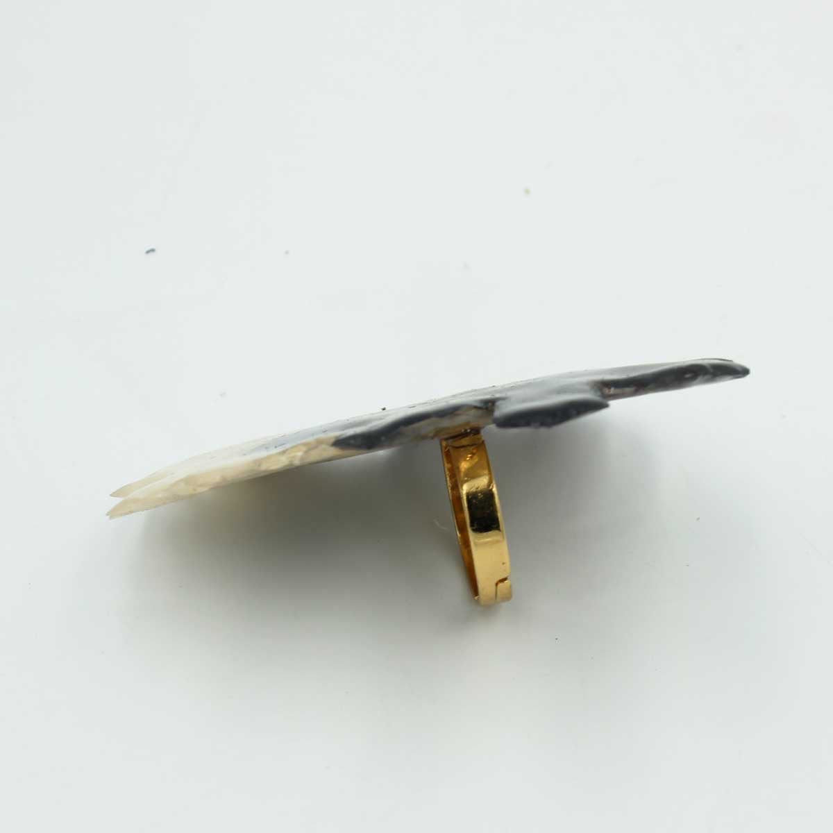 Anillo blanco y negro
