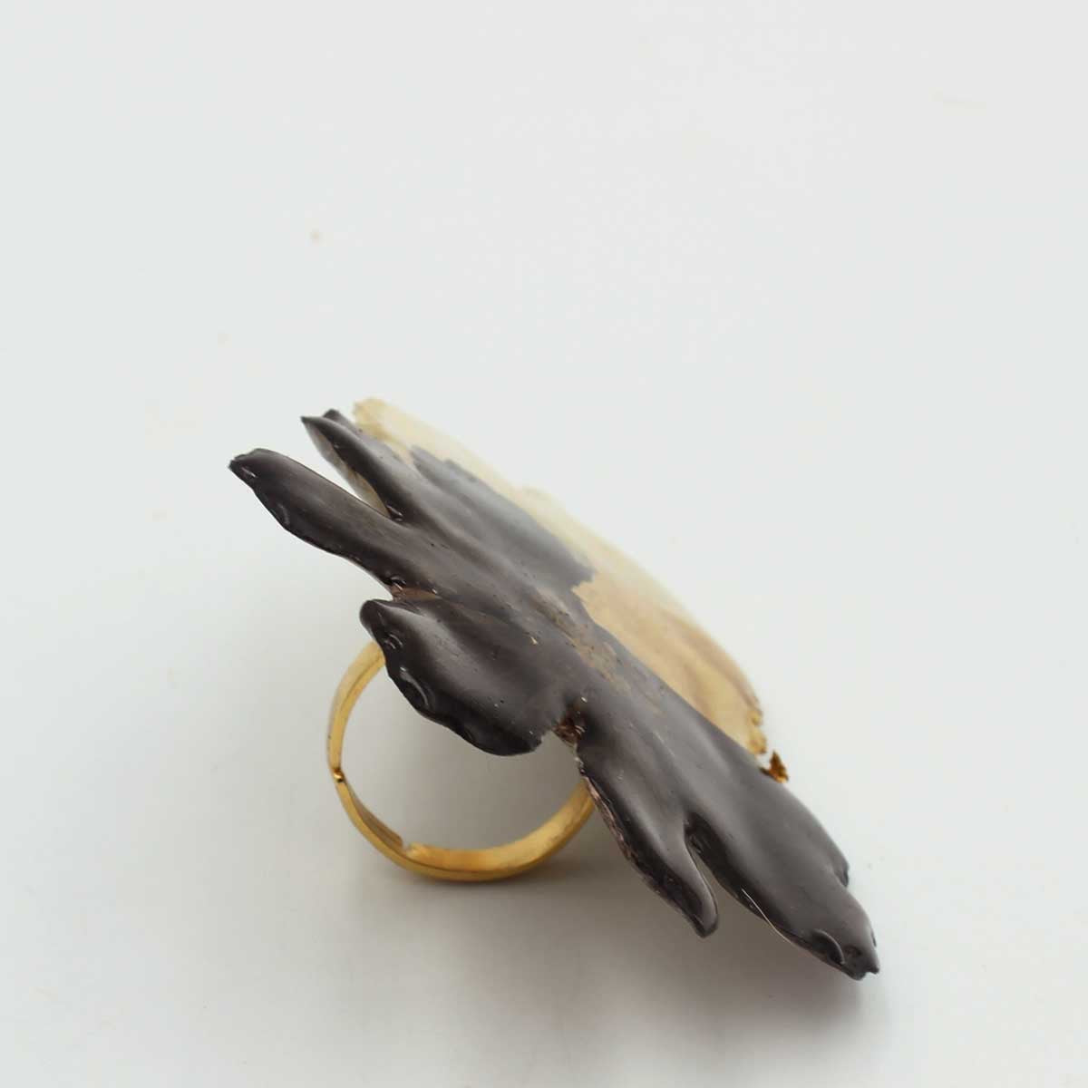 Anillo blanco y negro