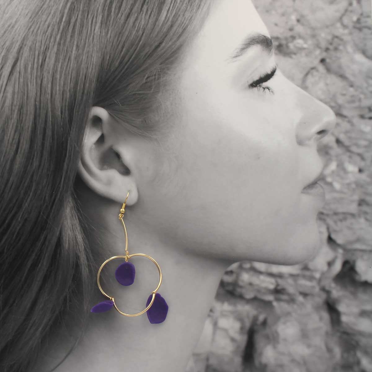 Conjunto Iris