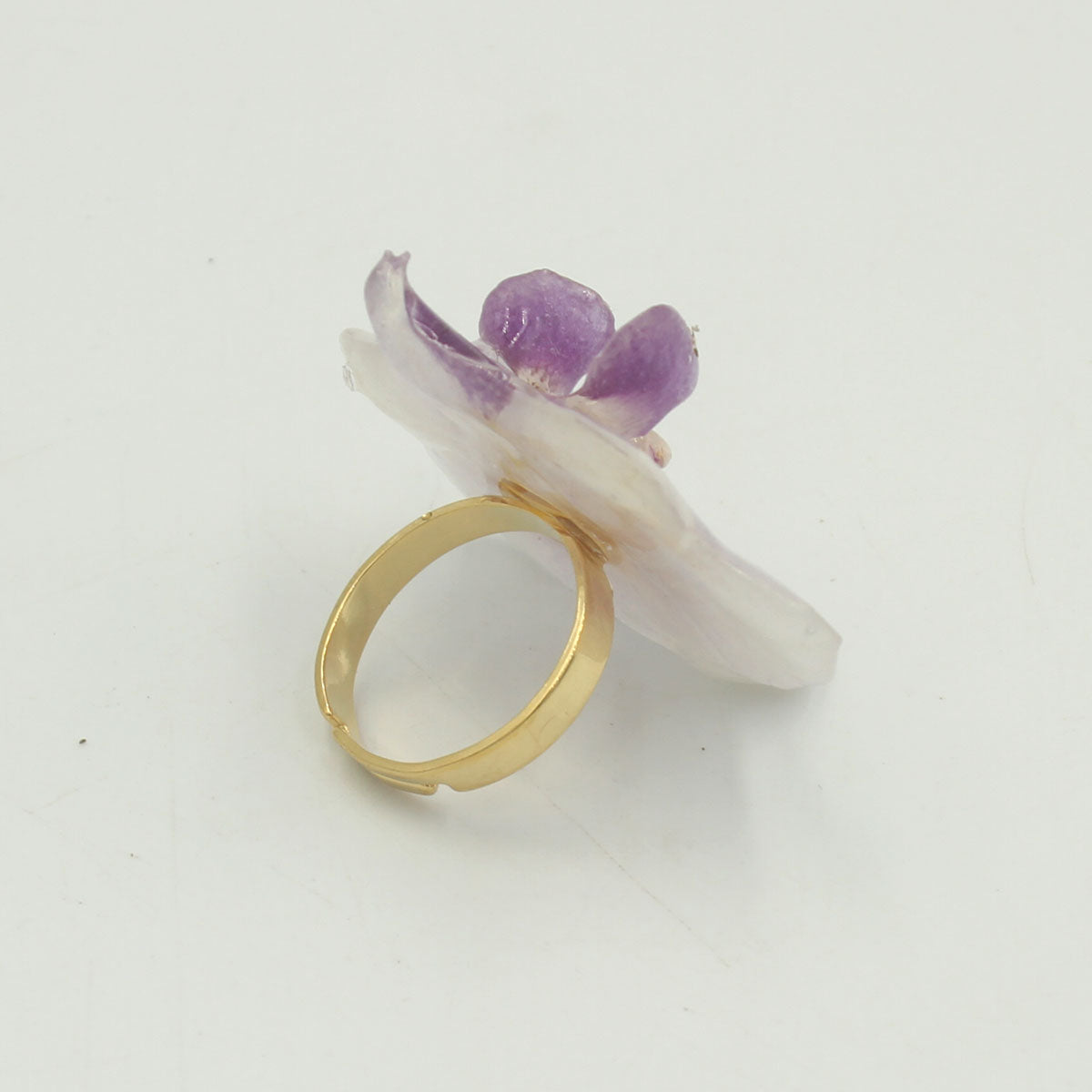 Anillo Liria