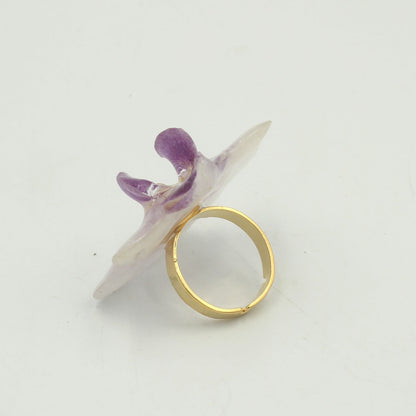 Anillo Liria