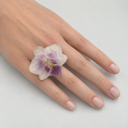 Anillo Liria