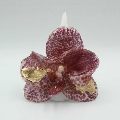 Vista alternativa de Anillo pecas con orquídeas naturales