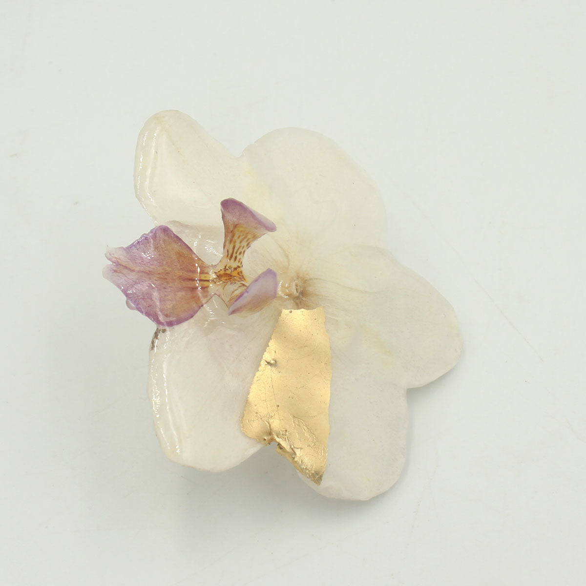 Anillo Néctar