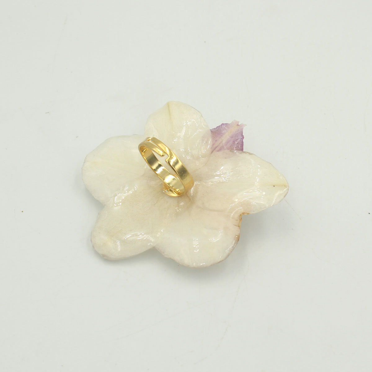 Anillo Néctar