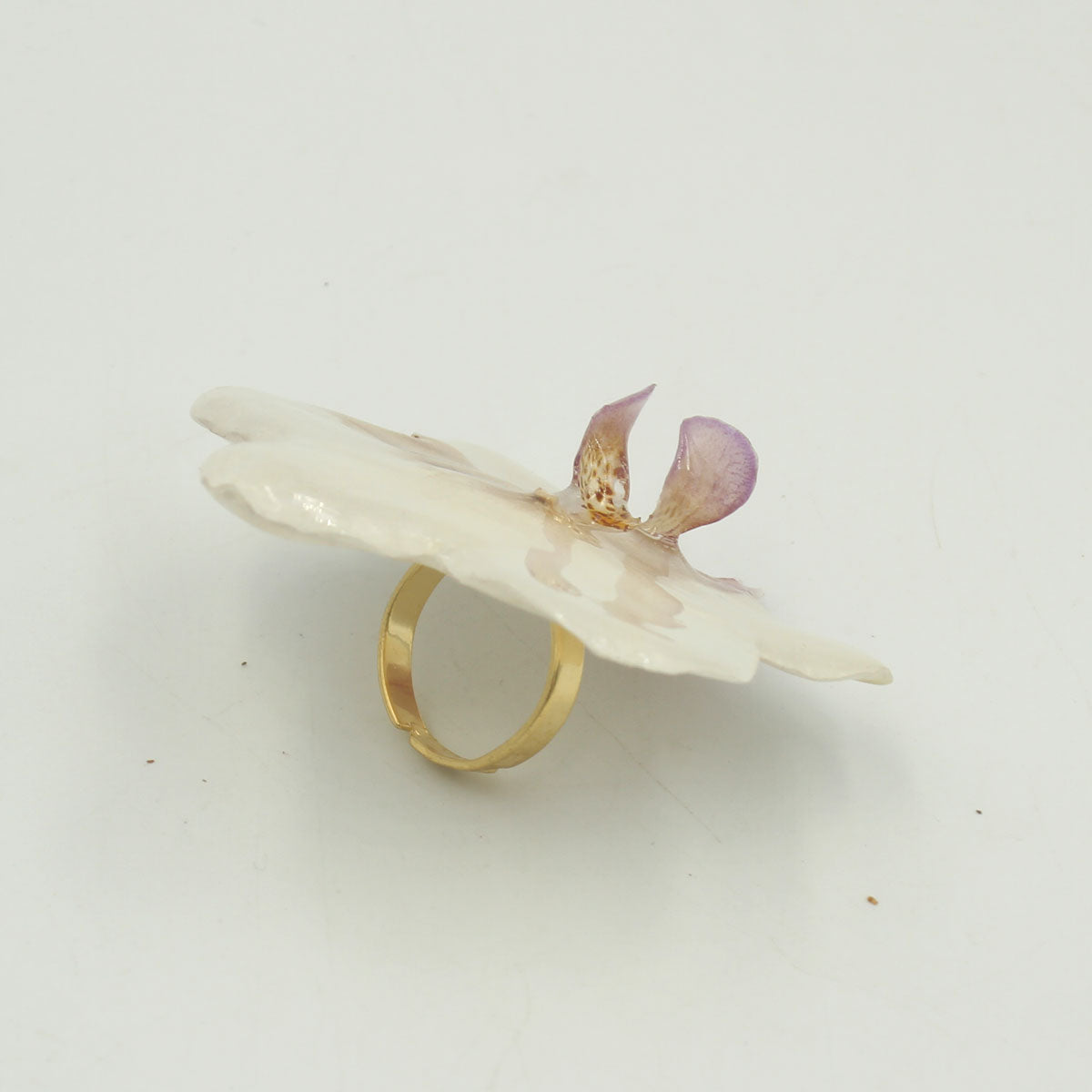 Anillo Néctar