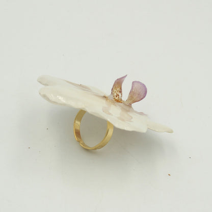 Anillo Néctar