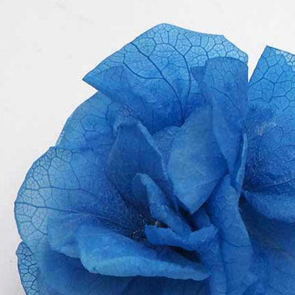 Peinetas Hortensias 2ud.