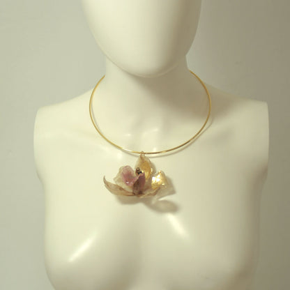 Collar Laurasia