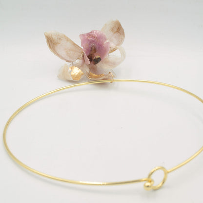 Collar Laurasia