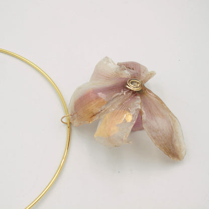 Collar Laurasia