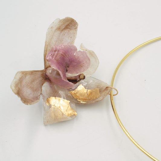 Collar Laurasia