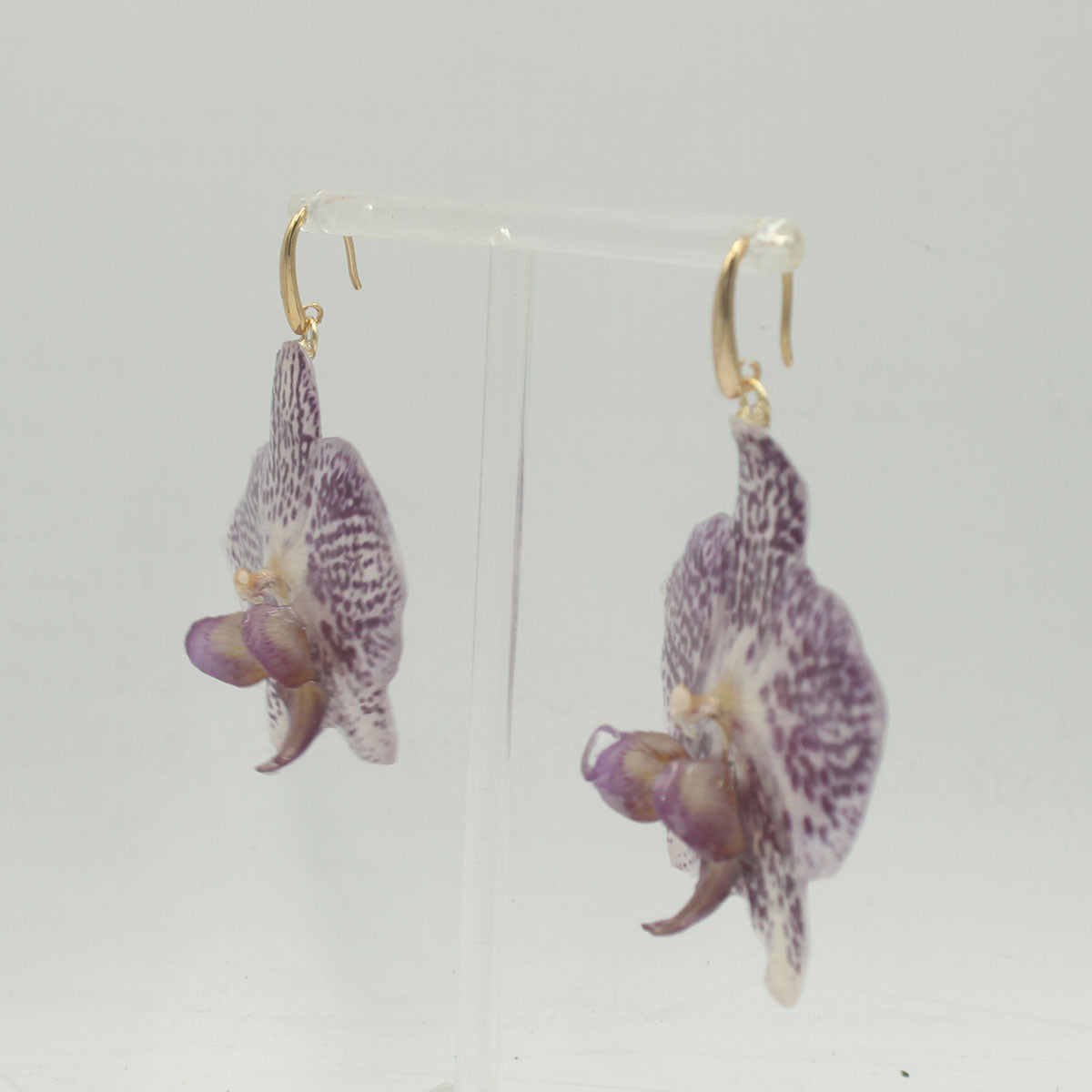 Pendientes Liria