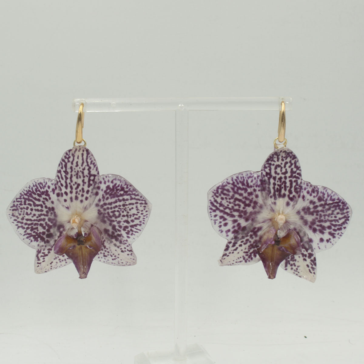 Pendientes Liria