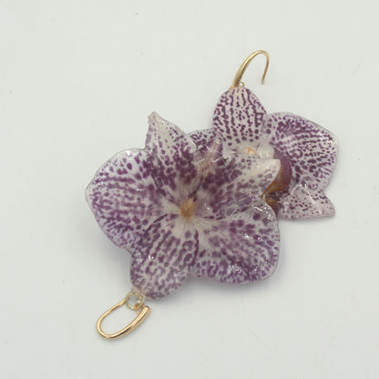 Pendientes Liria