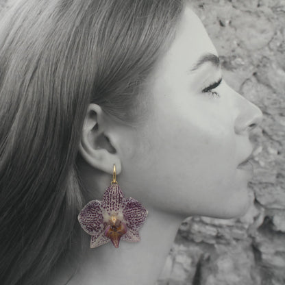Pendientes Liria