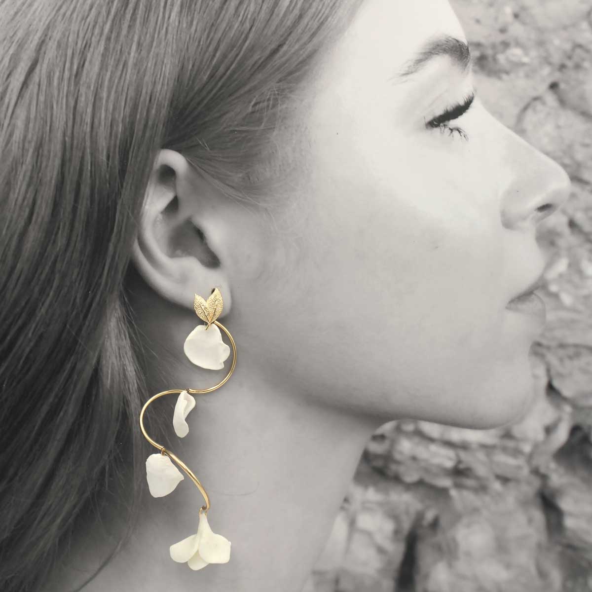 Conjunto Aire