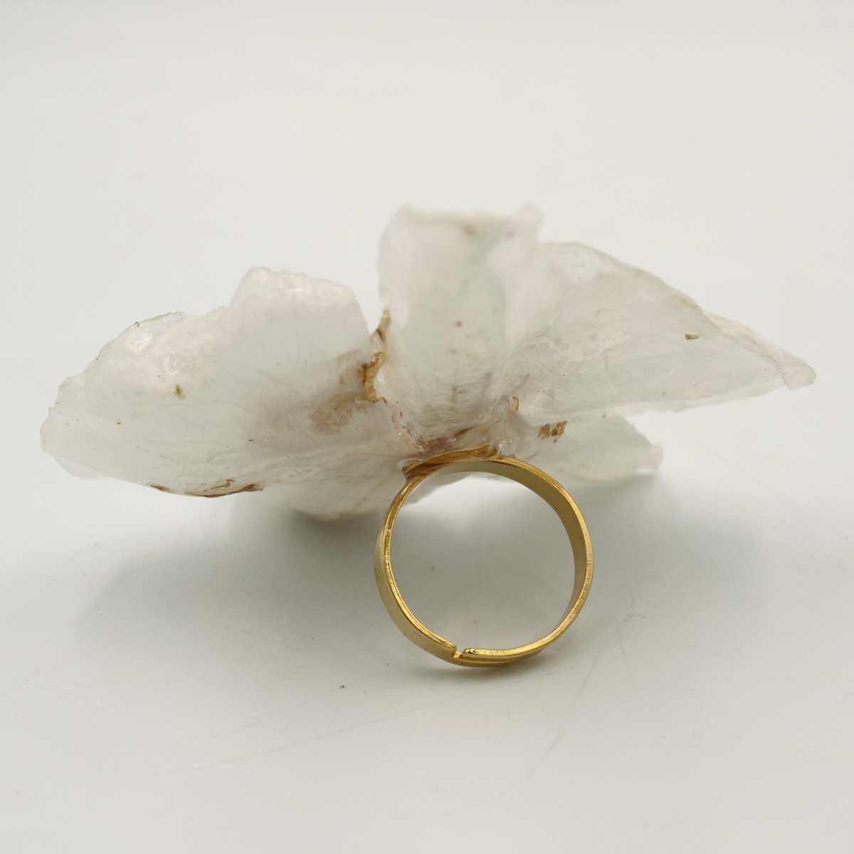 Anillo Alba