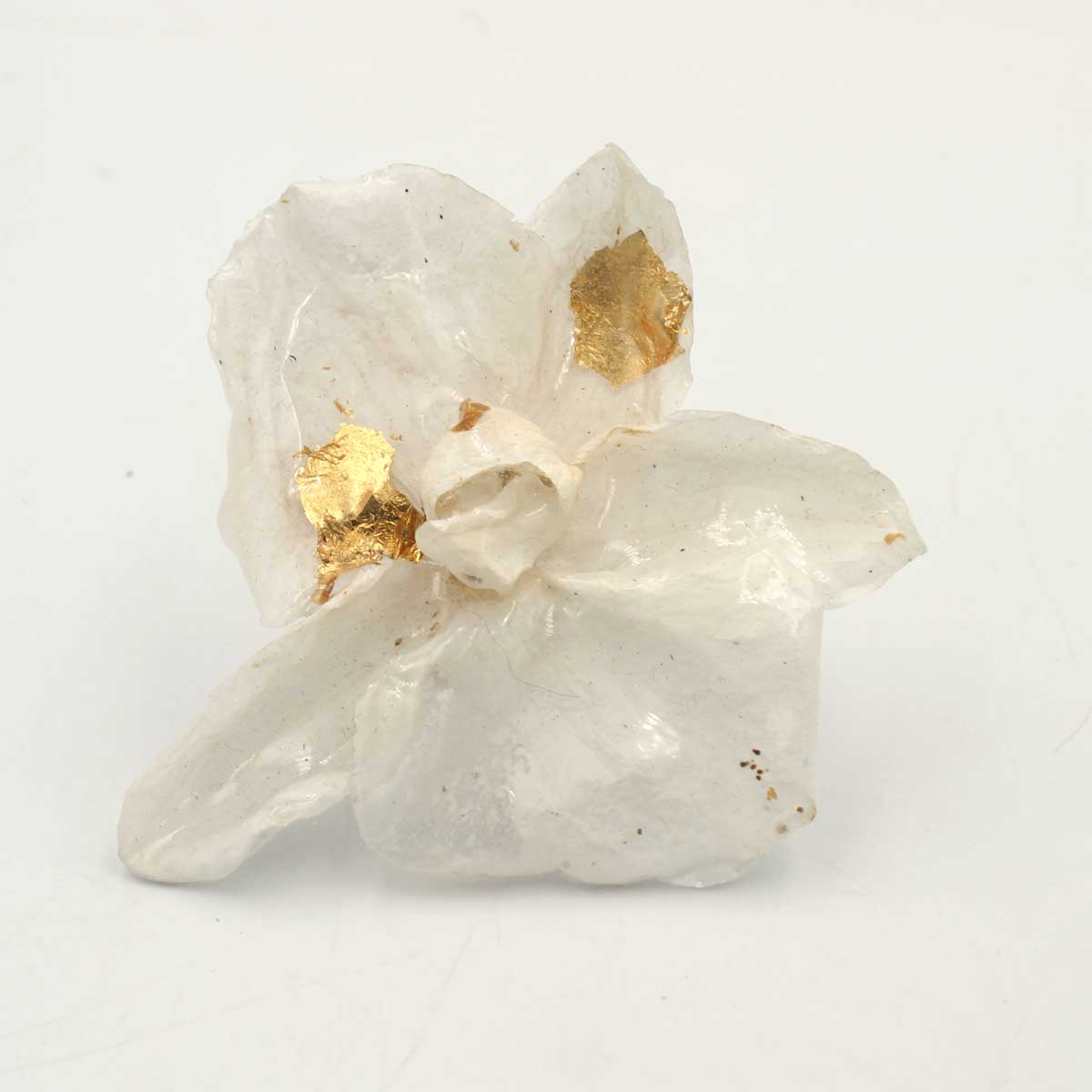 Anillo Alba