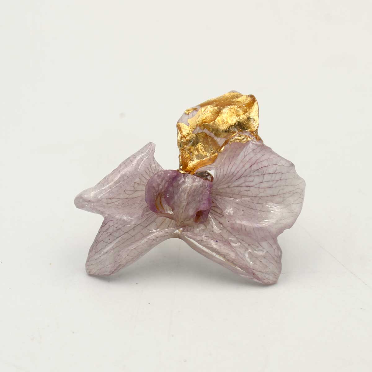 Anillo Liria
