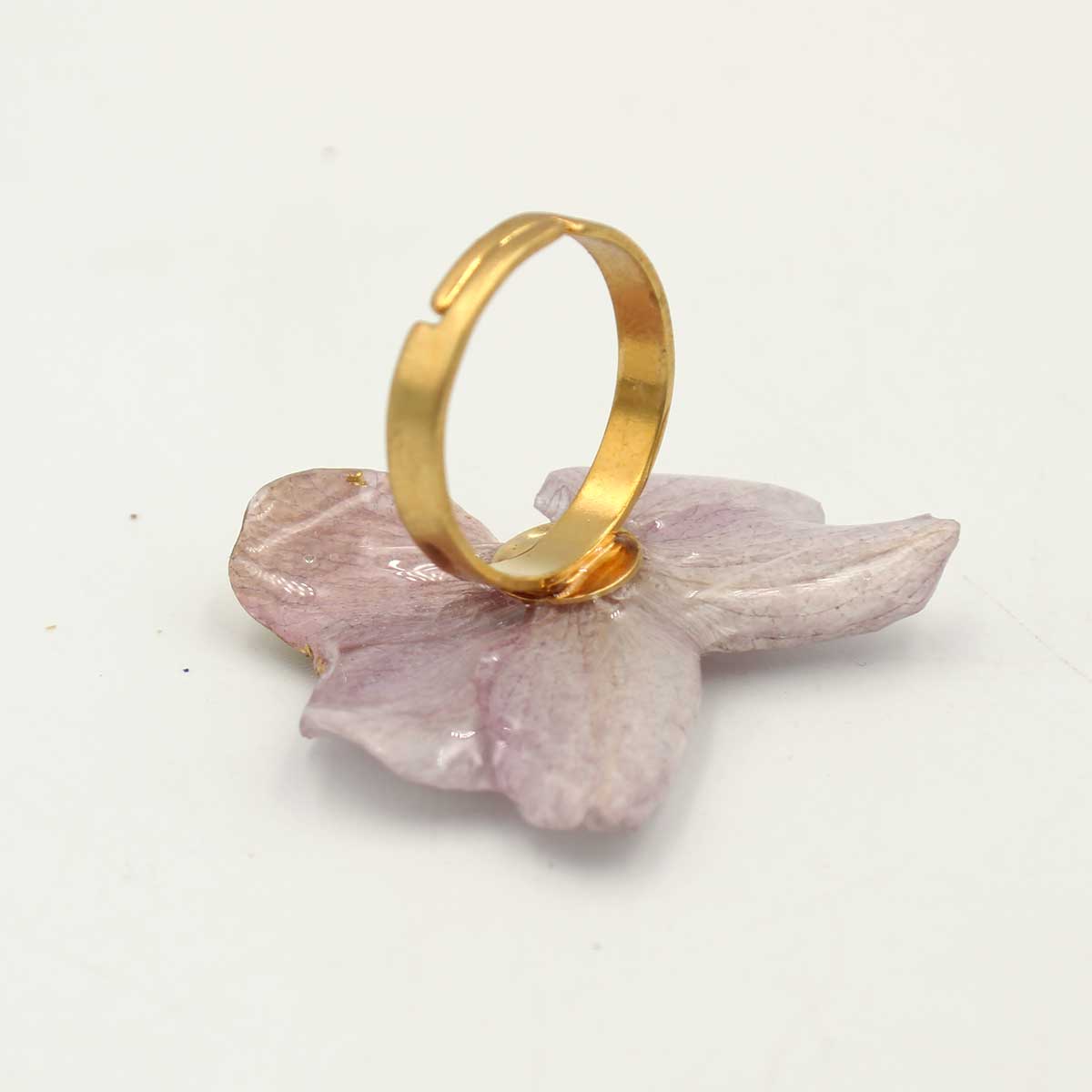 Anillo Liria