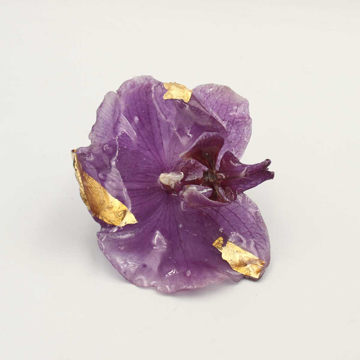 Anillo Viola