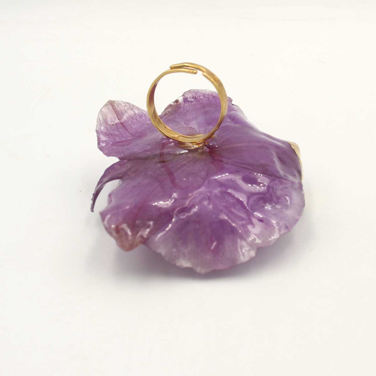 Anillo Viola