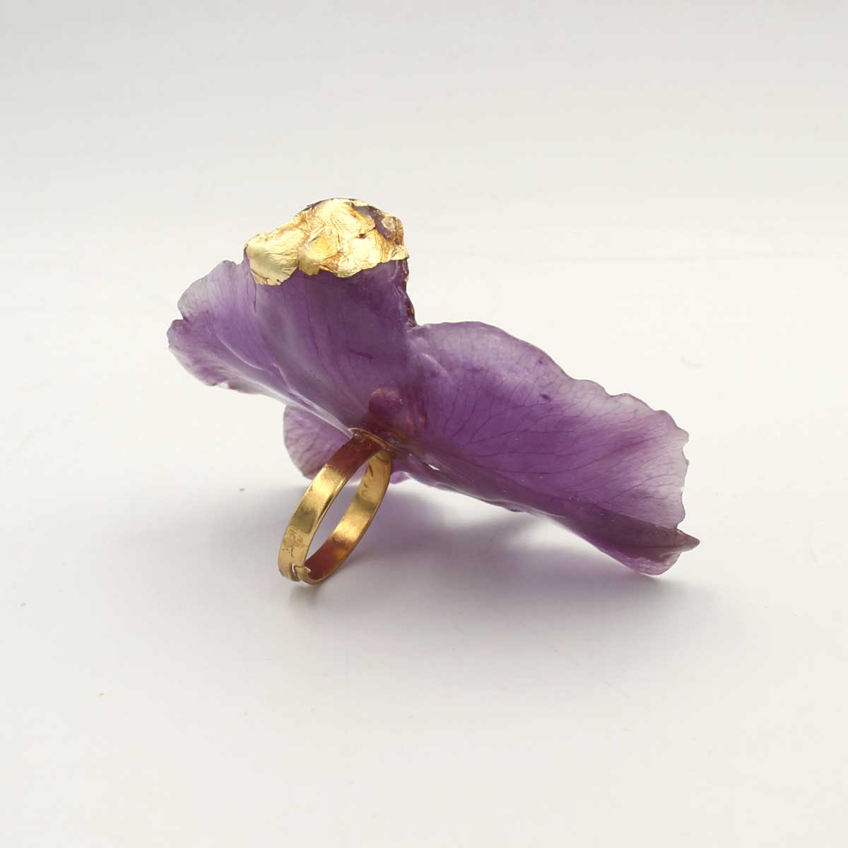 Anillo Viola