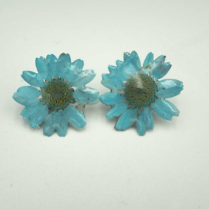 Pendientes de Flores Naturales Camomila - 2 Colores