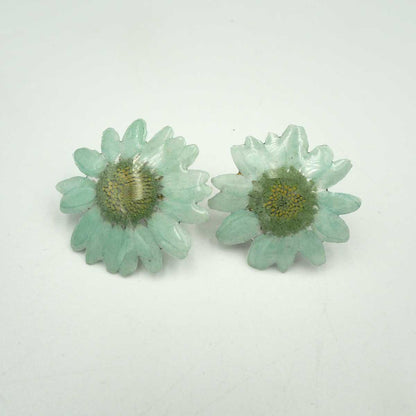 Pendientes de Flores Naturales Camomila - 2 Colores