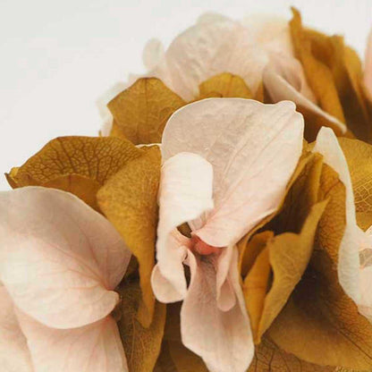 Peinetas Hortensias 2ud.