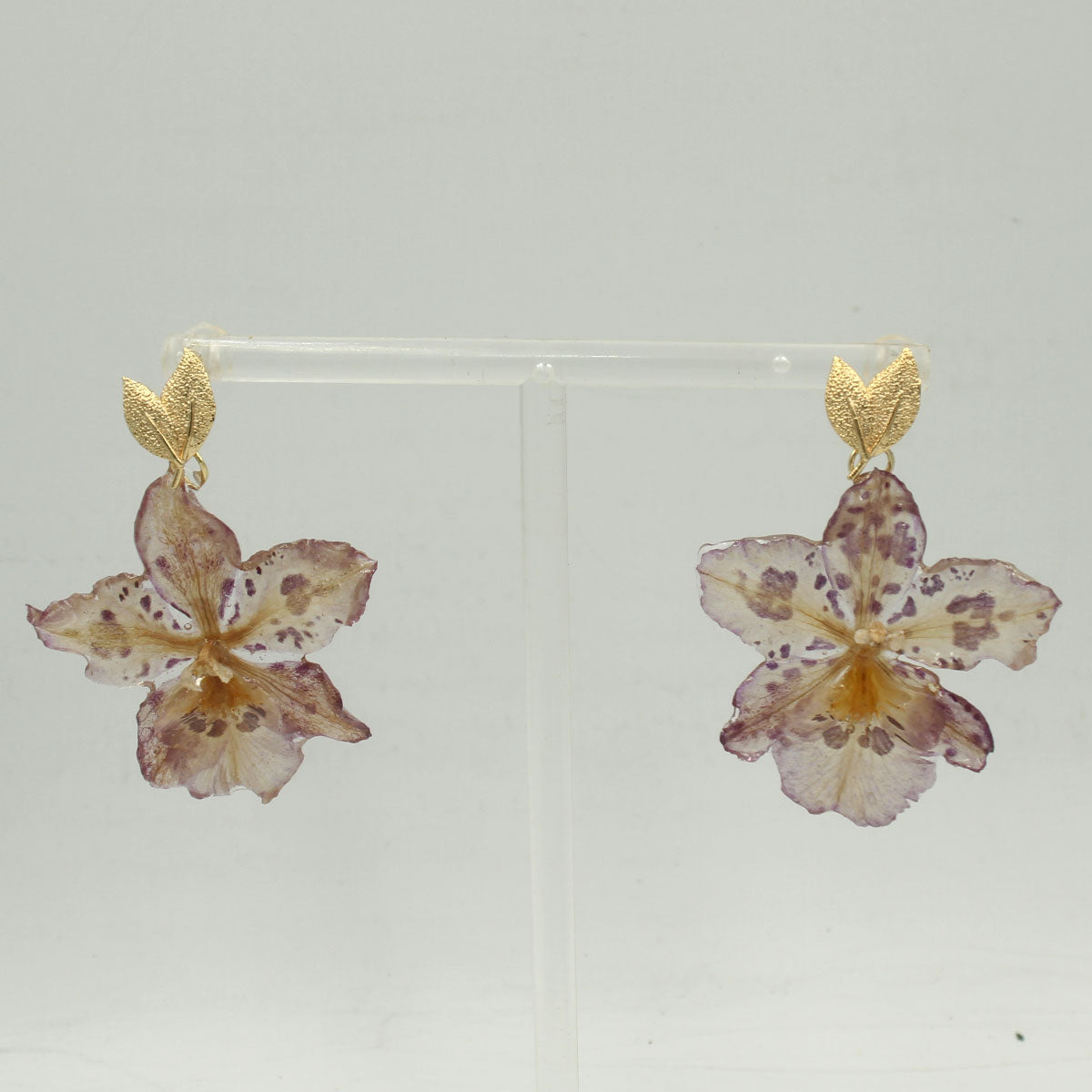 Pendientes Selva