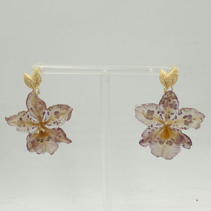 Pendientes Selva