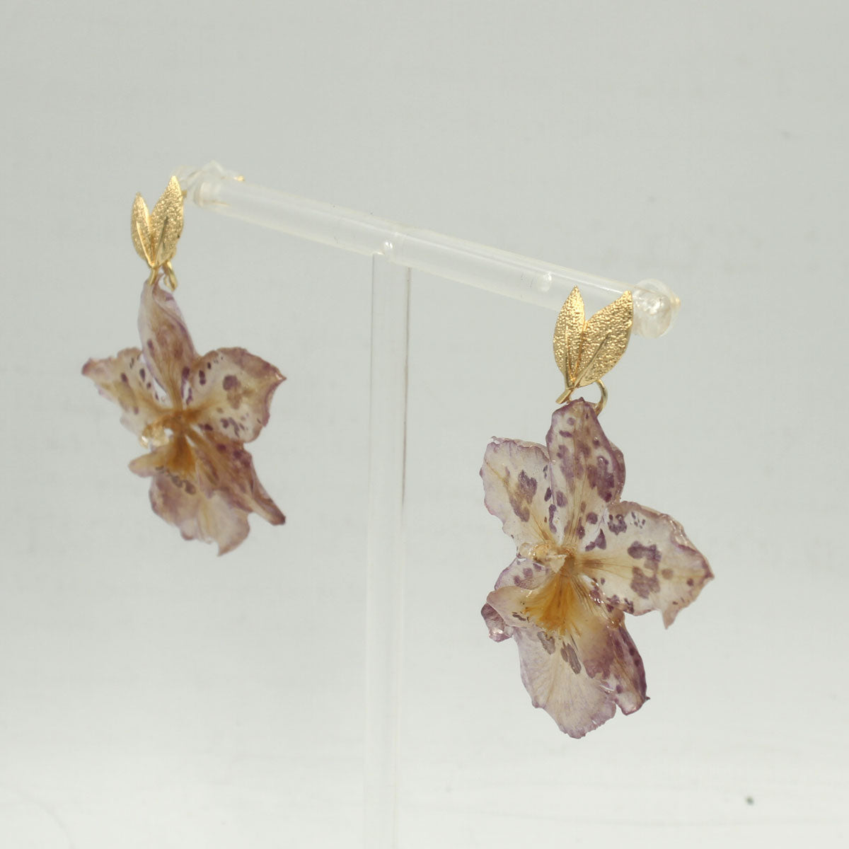 Pendientes Selva