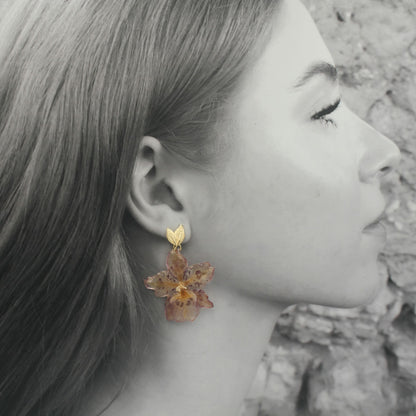 Pendientes Selva